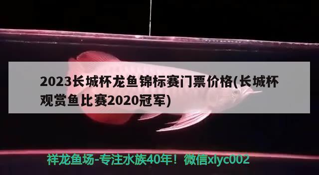 2023長城杯龍魚錦標(biāo)賽門票價格(長城杯觀賞魚比賽2020冠軍)