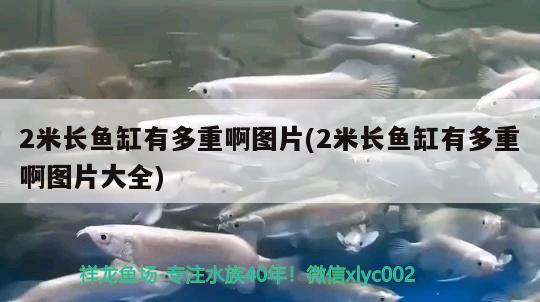 2米長(zhǎng)魚缸有多重啊圖片(2米長(zhǎng)魚缸有多重啊圖片大全)