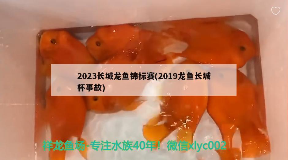 2023長城龍魚錦標(biāo)賽(2019龍魚長城杯事故)