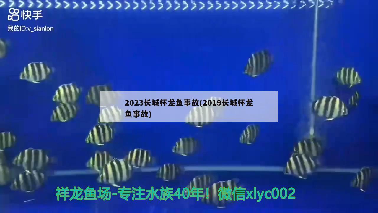 2023長城杯龍魚事故(2019長城杯龍魚事故) 2025第29屆中國國際寵物水族展覽會CIPS（長城寵物展2025 CIPS）