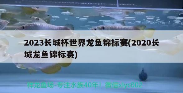 2023長城杯世界龍魚錦標賽(2020長城龍魚錦標賽)