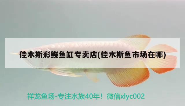 佳木斯彩鰈魚缸專賣店(佳木斯魚市場在哪) 彩鰈魚缸（彩蝶魚缸）