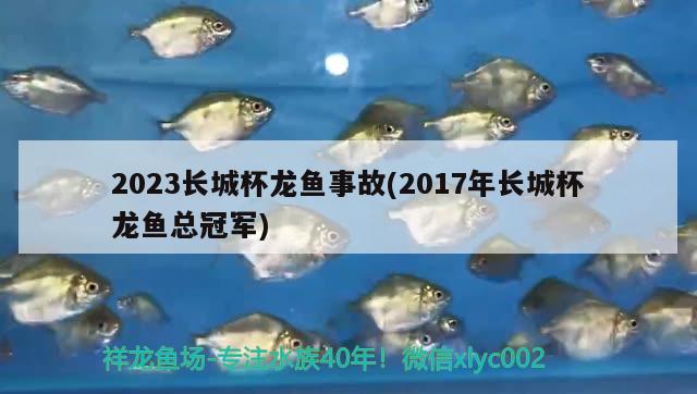 2023長(zhǎng)城杯龍魚事故(2017年長(zhǎng)城杯龍魚總冠軍) 2024第28屆中國(guó)國(guó)際寵物水族展覽會(huì)CIPS（長(zhǎng)城寵物展2024 CIPS） 第3張