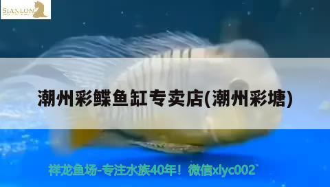 潮州彩鰈魚缸專賣店(潮州彩塘)