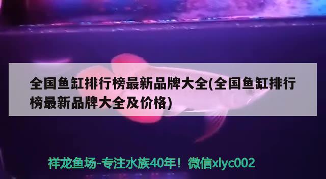 全國魚缸排行榜最新品牌大全(全國魚缸排行榜最新品牌大全及價格) 祥龍赫舞紅龍魚