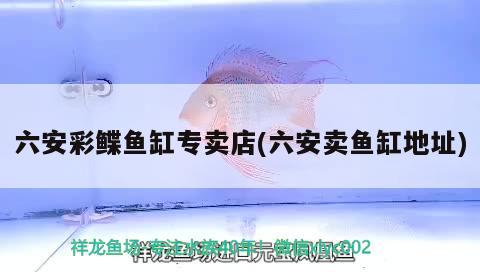 六安彩鰈魚缸專賣店(六安賣魚缸地址) 彩鰈魚缸（彩蝶魚缸）