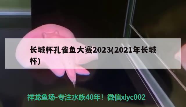 長(zhǎng)城杯孔雀魚(yú)大賽2023(2021年長(zhǎng)城杯)