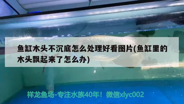 魚缸木頭不沉底怎么處理好看圖片(魚缸里的木頭飄起來了怎么辦) 白子銀版魚苗