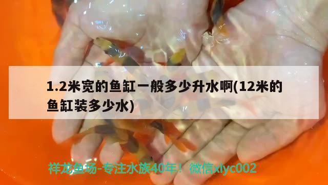 1.2米寬的魚缸一般多少升水啊(12米的魚缸裝多少水)