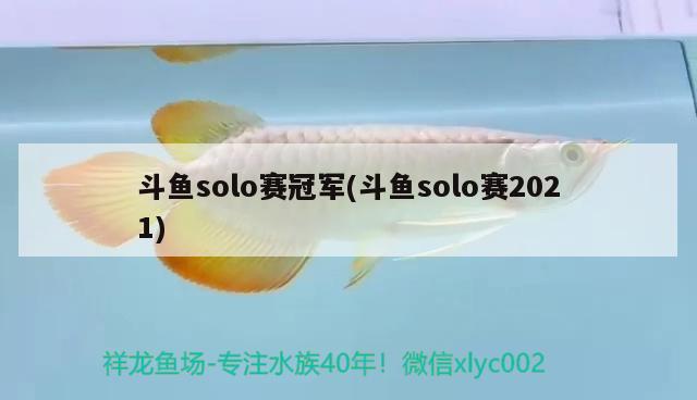 斗魚solo賽冠軍(斗魚solo賽2021)