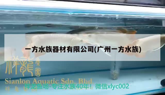 一方水族器材有限公司(廣州一方水族)