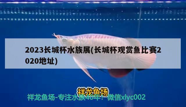 2023長城杯水族展(長城杯觀賞魚比賽2020地址) 水族展會