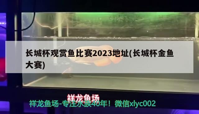 長(zhǎng)城杯觀賞魚比賽2023地址(長(zhǎng)城杯金魚大賽)