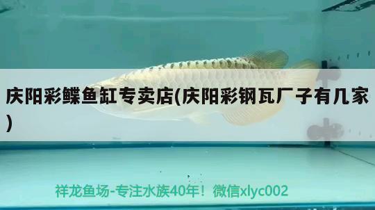 慶陽彩鰈魚缸專賣店(慶陽彩鋼瓦廠子有幾家) 彩鰈魚缸（彩蝶魚缸）