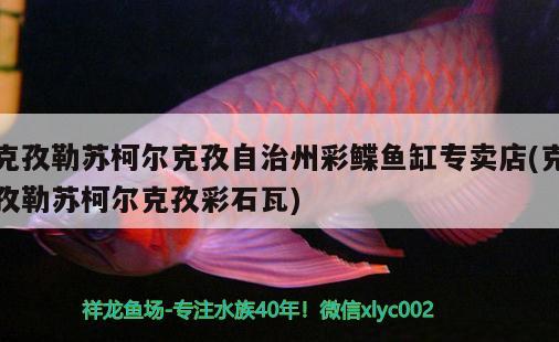 克孜勒蘇柯爾克孜自治州彩鰈魚缸專賣店(克孜勒蘇柯爾克孜彩石瓦) 彩鰈魚缸（彩蝶魚缸）