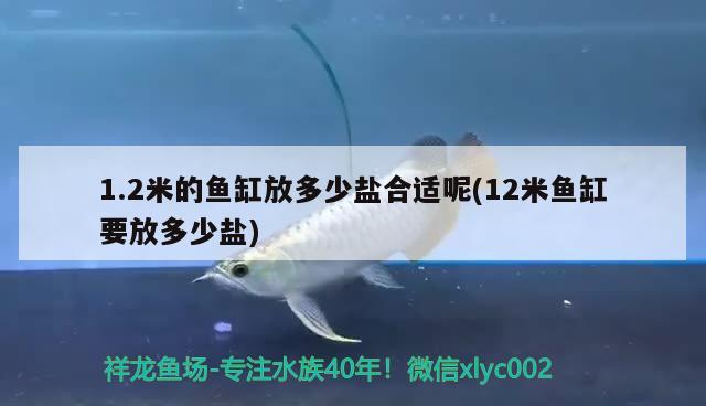 1.2米的魚(yú)缸放多少鹽合適呢(12米魚(yú)缸要放多少鹽)