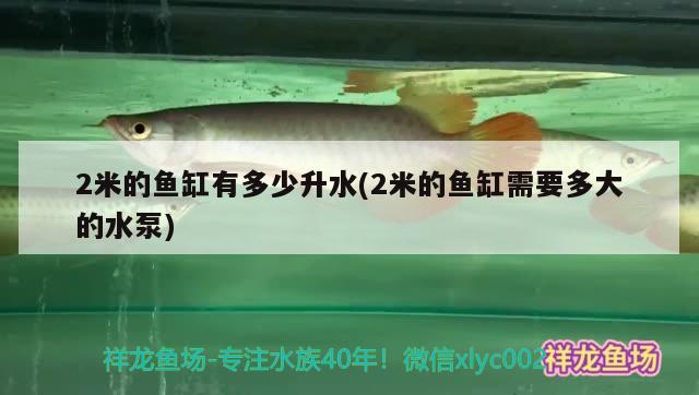 2米的魚缸有多少升水(2米的魚缸需要多大的水泵) 帝王迷宮