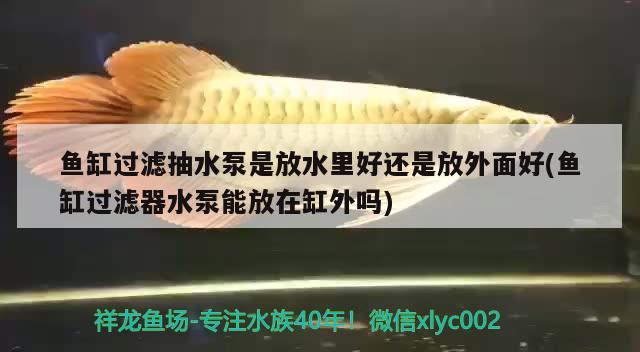 魚缸過濾抽水泵是放水里好還是放外面好(魚缸過濾器水泵能放在缸外嗎)