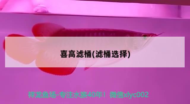 喜高濾桶(濾桶選擇) 2024第28屆中國國際寵物水族展覽會CIPS（長城寵物展2024 CIPS）