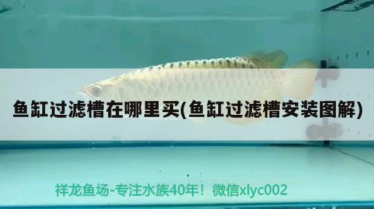 魚缸過濾槽在哪里買(魚缸過濾槽安裝圖解) 魚缸等水族設(shè)備