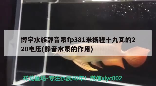 博宇水族靜音泵fp381米揚(yáng)程十九瓦的220電壓(靜音水泵的作用)