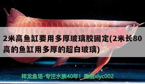 2米高魚缸要用多厚玻璃膠固定(2米長80高的魚缸用多厚的超白玻璃) 泰國虎魚（泰虎） 第1張