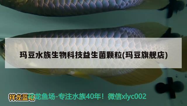 瑪豆水族生物科技益生菌顆粒(瑪豆旗艦店) 2024第28屆中國國際寵物水族展覽會(huì)CIPS（長城寵物展2024 CIPS）