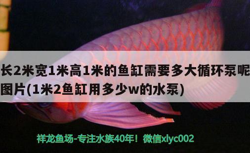 長(zhǎng)2米寬1米高1米的魚缸需要多大循環(huán)泵呢圖片(1米2魚缸用多少w的水泵) 和尚魚 第2張