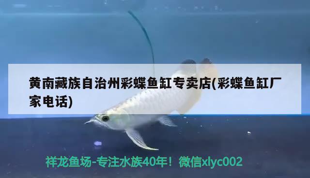 黃南藏族自治州彩蝶魚缸專賣店(彩蝶魚缸廠家電話) 彩鰈魚缸（彩蝶魚缸）