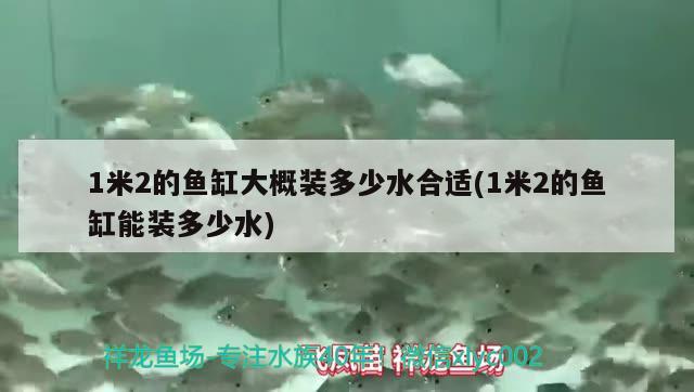 1米2的魚缸大概裝多少水合適(1米2的魚缸能裝多少水) 眼斑魚