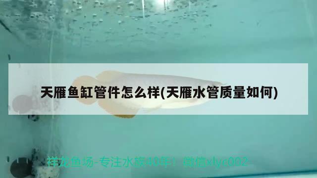 天雁魚缸管件怎么樣(天雁水管質量如何)