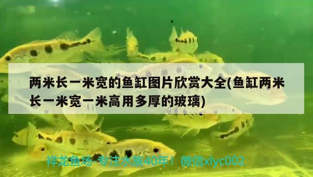 兩米長(zhǎng)一米寬的魚缸圖片欣賞大全(魚缸兩米長(zhǎng)一米寬一米高用多厚的玻璃)