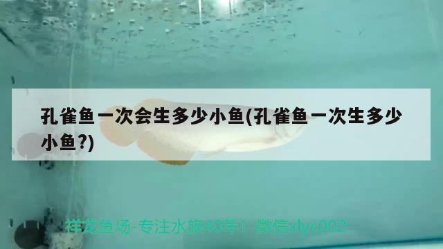 孔雀魚一次會(huì)生多少小魚(孔雀魚一次生多少小魚?)