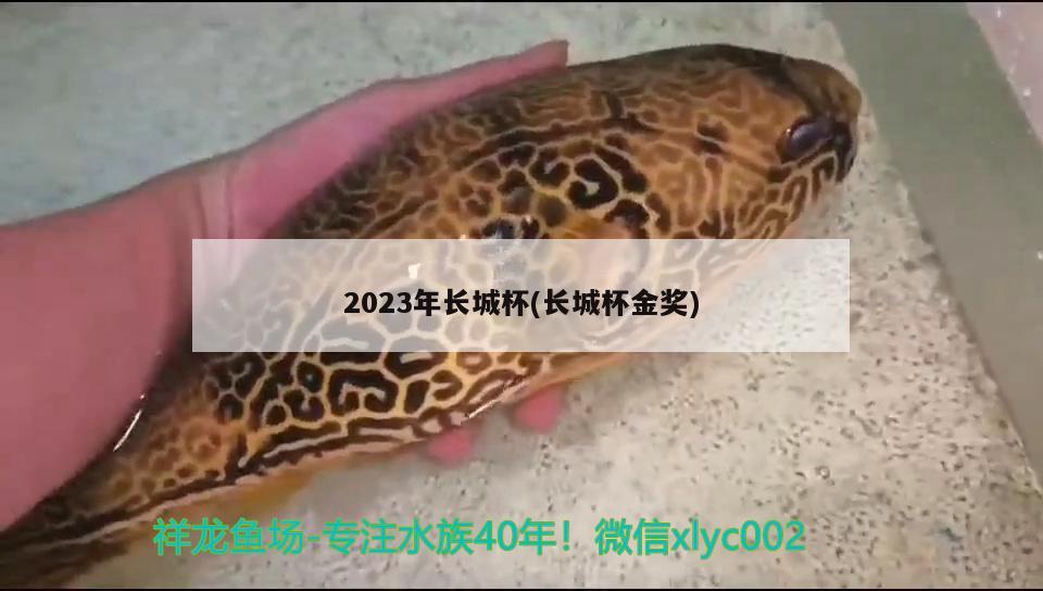 2023年長(zhǎng)城杯(長(zhǎng)城杯金獎(jiǎng)) 2024第28屆中國(guó)國(guó)際寵物水族展覽會(huì)CIPS（長(zhǎng)城寵物展2024 CIPS）