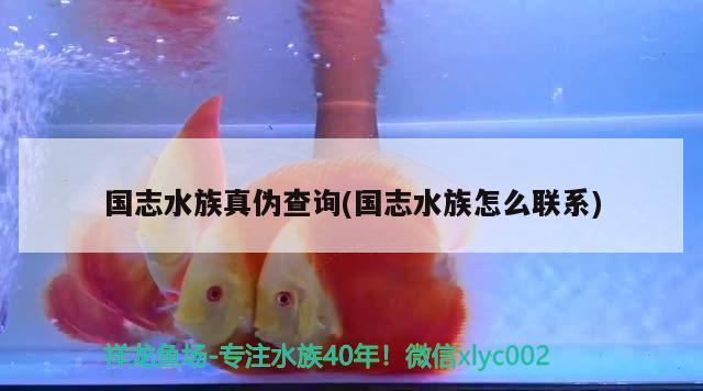 國志水族真?zhèn)尾樵?國志水族怎么聯(lián)系) 2024第28屆中國國際寵物水族展覽會CIPS（長城寵物展2024 CIPS）