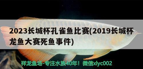 2023長城杯孔雀魚比賽(2019長城杯龍魚大賽死魚事件) 2025第29屆中國國際寵物水族展覽會CIPS（長城寵物展2025 CIPS）