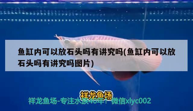 魚(yú)缸內(nèi)可以放石頭嗎有講究嗎(魚(yú)缸內(nèi)可以放石頭嗎有講究嗎圖片) 除藻劑