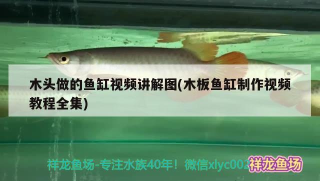 木頭做的魚缸視頻講解圖(木板魚缸制作視頻教程全集) 水族維護(hù)服務(wù)（上門）