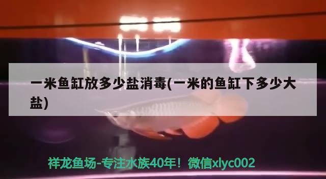 一米魚缸放多少鹽消毒(一米的魚缸下多少大鹽) 圖騰金龍魚 第3張