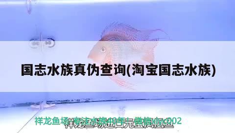 國志水族真?zhèn)尾樵?淘寶國志水族) 2024第28屆中國國際寵物水族展覽會CIPS（長城寵物展2024 CIPS）