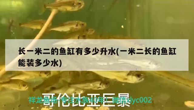 長(zhǎng)一米二的魚缸有多少升水(一米二長(zhǎng)的魚缸能裝多少水) 巴卡雷龍魚