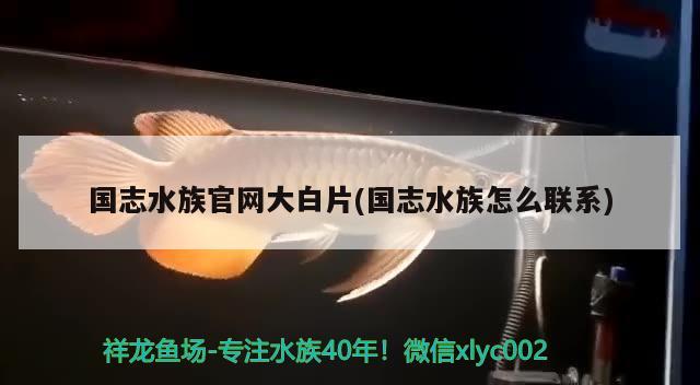 國志水族官網(wǎng)大白片(國志水族怎么聯(lián)系) 2025第29屆中國國際寵物水族展覽會CIPS（長城寵物展2025 CIPS）