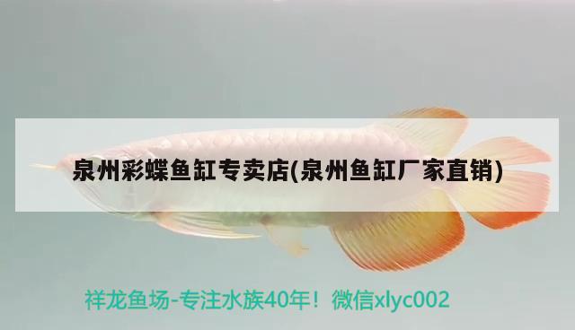 泉州彩蝶魚缸專賣店(泉州魚缸廠家直銷)