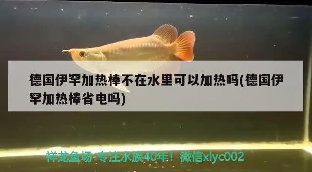 德國(guó)伊罕加熱棒不在水里可以加熱嗎(德國(guó)伊罕加熱棒省電嗎)