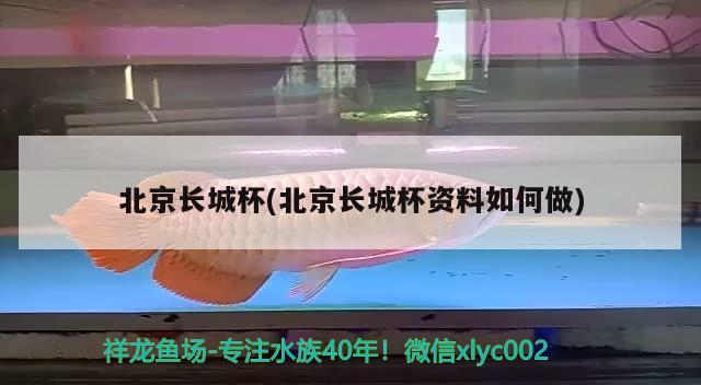 北京長城杯(北京長城杯資料如何做) 2025第29屆中國國際寵物水族展覽會CIPS（長城寵物展2025 CIPS）