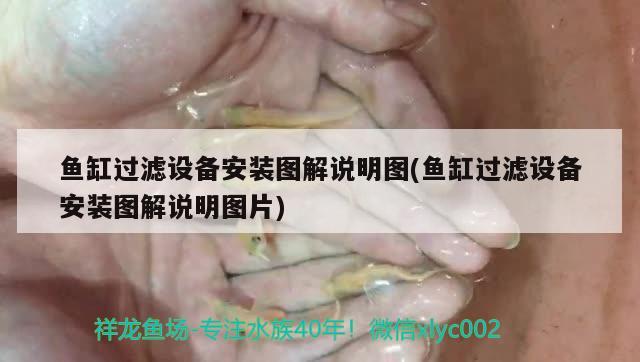 魚缸過濾設備安裝圖解說明圖(魚缸過濾設備安裝圖解說明圖片) 過濾設備