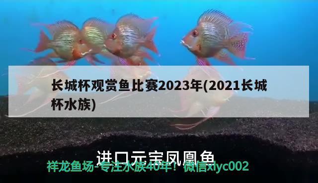 長(zhǎng)城杯觀賞魚比賽2023年(2021長(zhǎng)城杯水族) 2025第29屆中國(guó)國(guó)際寵物水族展覽會(huì)CIPS（長(zhǎng)城寵物展2025 CIPS）