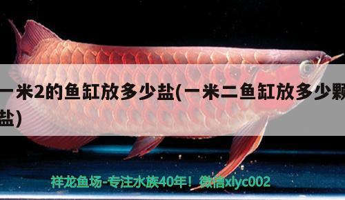 一米2的魚缸放多少鹽(一米二魚缸放多少顆鹽)