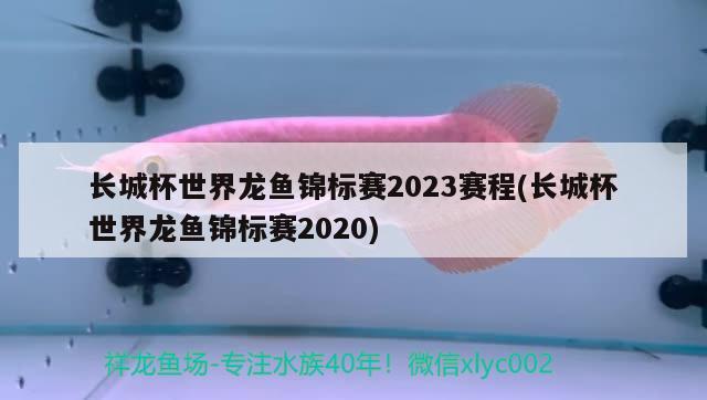 長城杯世界龍魚錦標(biāo)賽2023賽程(長城杯世界龍魚錦標(biāo)賽2020) 2024第28屆中國國際寵物水族展覽會(huì)CIPS（長城寵物展2024 CIPS）