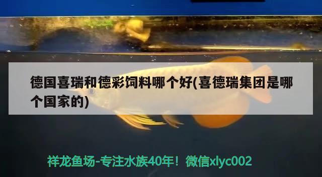 德國喜瑞和德彩飼料哪個(gè)好(喜德瑞集團(tuán)是哪個(gè)國家的)